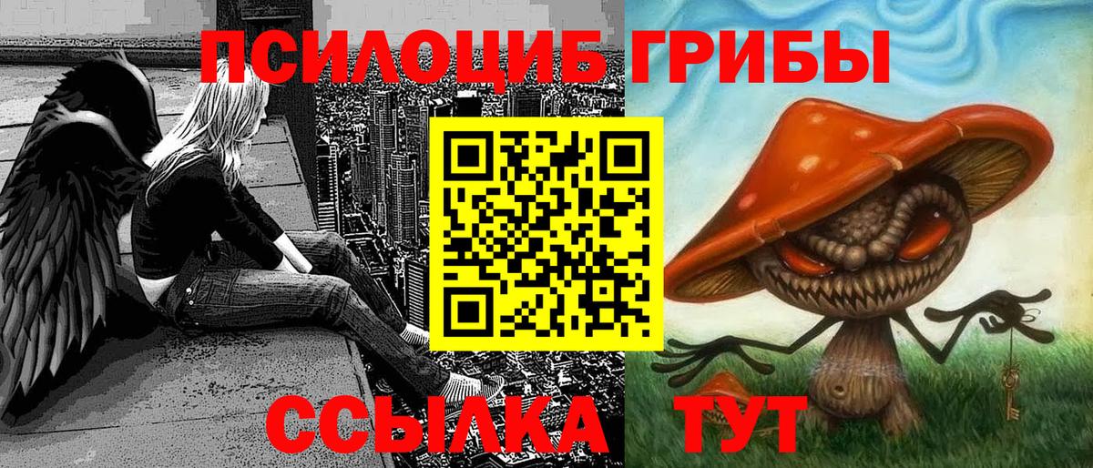 Псилоцибиновые грибы ЛСД Кудымкар