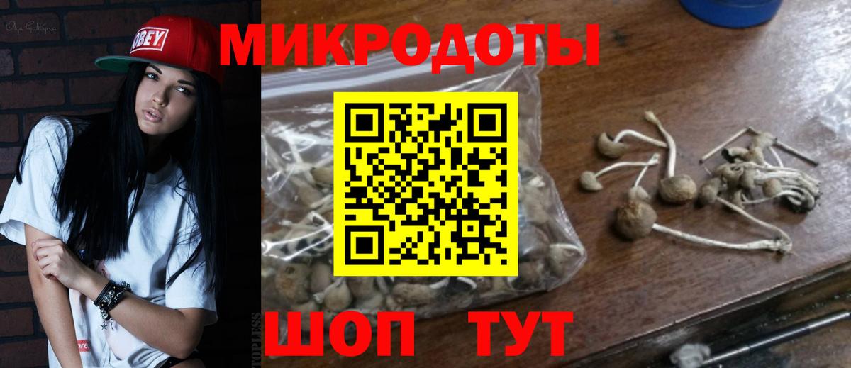 Кудымкар  Галлюциногенные грибы Psilocybine cubensis  Вход с VPN 